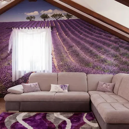 빌라 Ferienhaeuser In 마카르스카