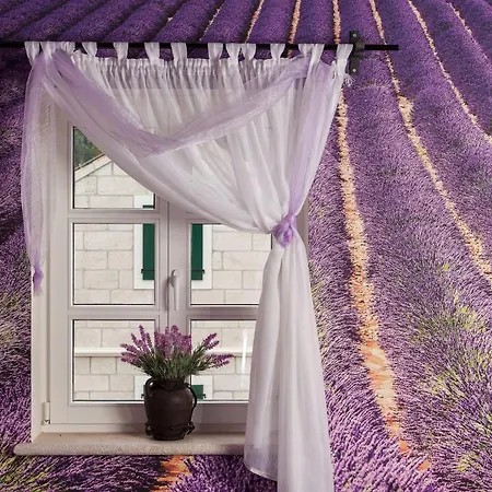 빌라 Ferienhaeuser In *