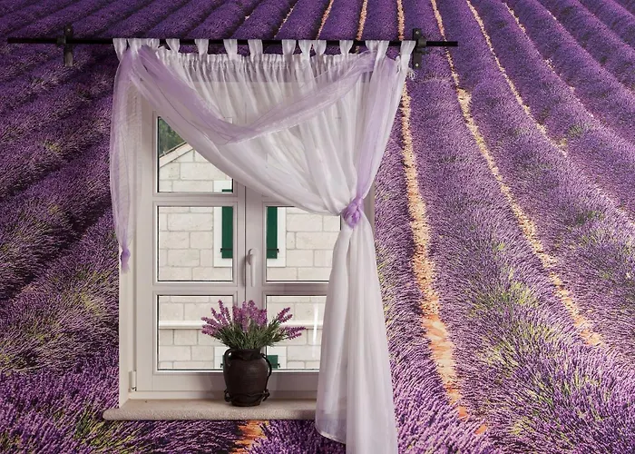 Villa Ferienhaeuser In *